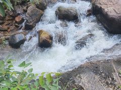 -广州白江湖森林公园