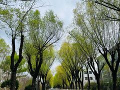 -长春公园(普阳街道)