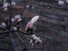 -东华门大街小区