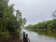 -黄海国家森林公园