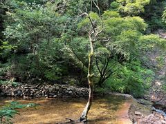 -驼梁风景区