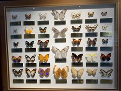 -上海昆虫博物馆