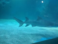 -常州海昌海洋探索馆
