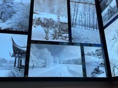 -山河屯铁锅炖(哈西站店)