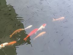 -水濂山森林公园