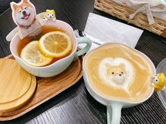 -逗柴咖啡屋·狗咖猫咖宠物桌游