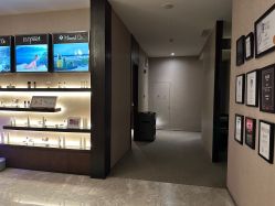 -丽妍雅集 Rubis SPA