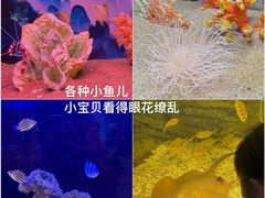 -欢乐海岸海洋奇梦馆