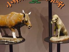 -大同市博物馆