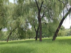 -承德避暑山庄景区