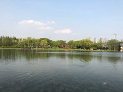 -尚贤河湿地