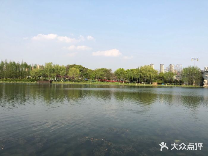 尚贤河湿地图片