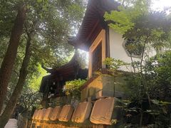 -十八棵（老龙井）御茶园(老龙井店)