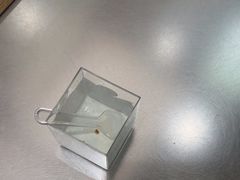 -宝珠奶酪(北京国瑞城购物中心店)
