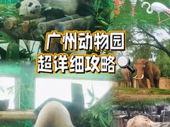 -广州动物园