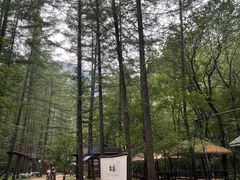 -关门山森林公园