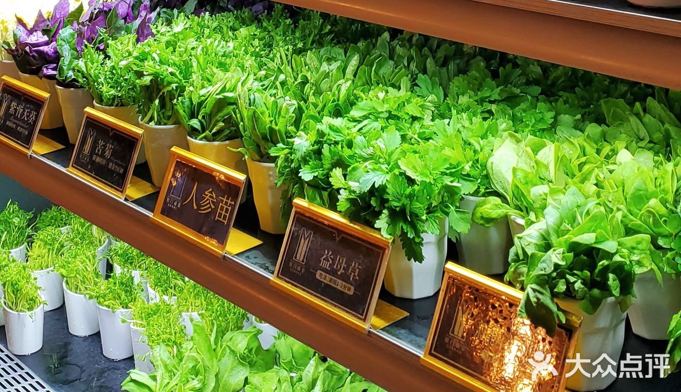 捞上来，吃下去！这里的海鲜管够！