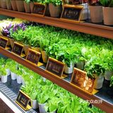 捞上来，吃下去！这里的海鲜管够！