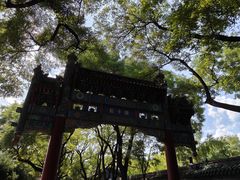 -北京国子监胡同