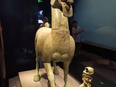 -广西壮族自治区博物馆