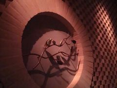 -Dragonfly悠庭·按摩Spa(静安嘉里中心店)