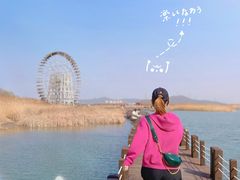 -太湖湖滨国家湿地公园-停车场