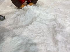 -世界之窗阿尔卑斯冰雪世界