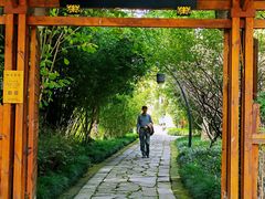 -西溪国家湿地公园