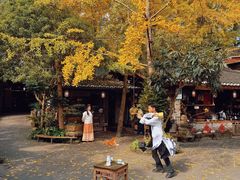 -青城甲(青城山店)