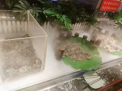 -釜御山海鲜烤肉火锅自助(新城市中心店)