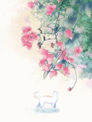 -Oasis Beauty水磨坊科技美肤中心