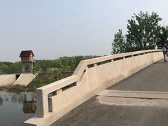 -东郊湿地公园