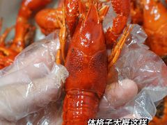 -老长沙龙虾馆·烧烤·虾尾·卤虾(芙蓉广场店)