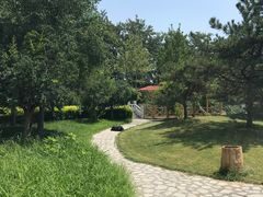 小区环境-康梦圆国际老年公寓