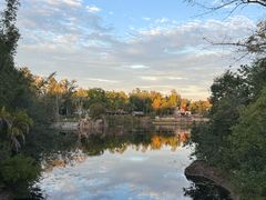 -奥兰多迪士尼动物王国乐园