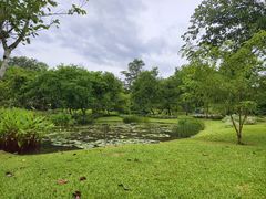 -中国科学院西双版纳热带植物园