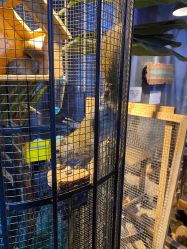 -酷嗒动物文化乐园(cutezoo西溪乐天城店)