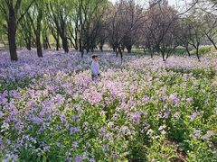 -东坝千亩湖公园