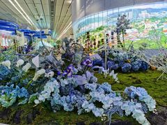 -厦门邮轮中心厦鼓码头(轮渡站)