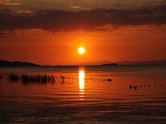 -弥舍·湖景团建泳池派对别墅·湖山境店