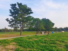 -汉长安城未央宫国家考古遗址公园