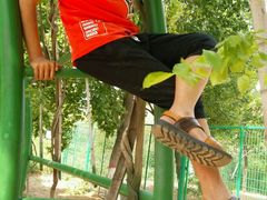 -石家庄市动物园