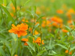 -华东政法大学(松江校区)