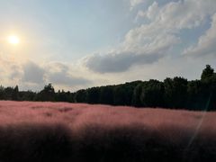 -同里国家湿地公园