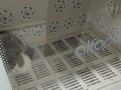 -瑞派康怡24h宠物医院·犬猫医疗中心·微创绝育(瑞景分院)