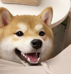 点击看大图 -Oasis Beauty水磨坊科技美肤中心