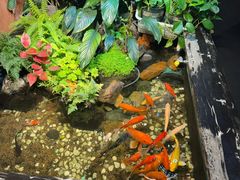 -隐炉和牛烧肉店(群力店)