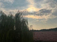 -花博汇(知音花月夜)