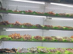 自助取餐区-朗御烧烤·江湖菜·鲜货(望平街店)