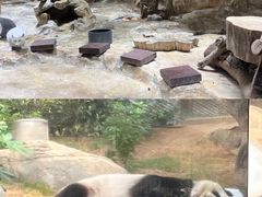 -香港海洋公园